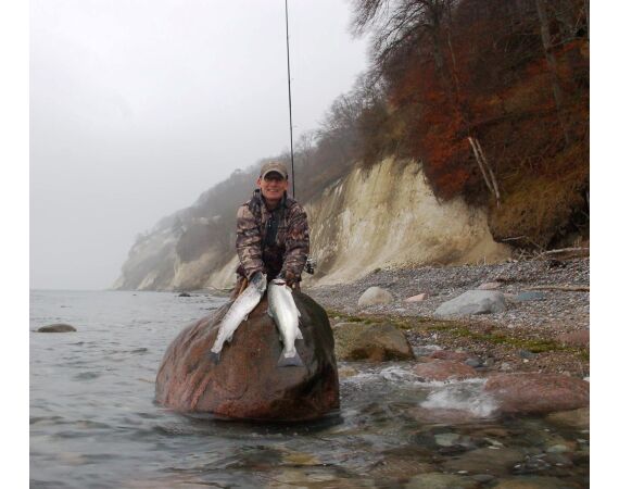Moen, Denmark seatrout 