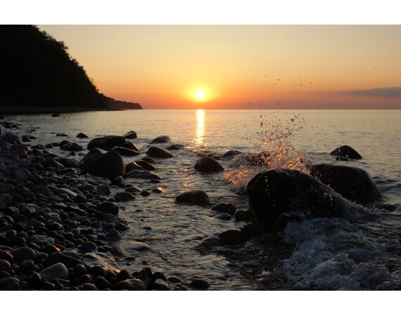 Moen, Denmark seatrout 