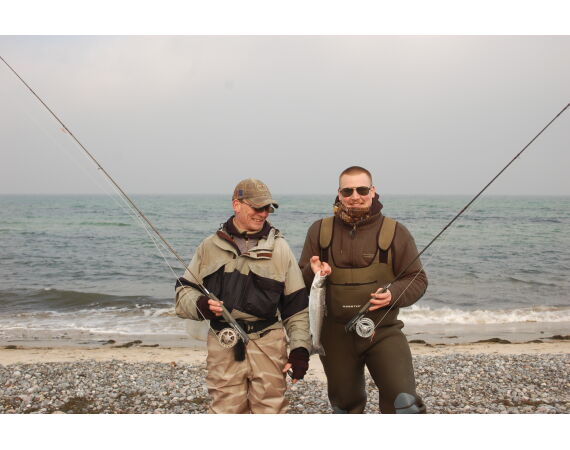 Moen, Denmark seatrout 