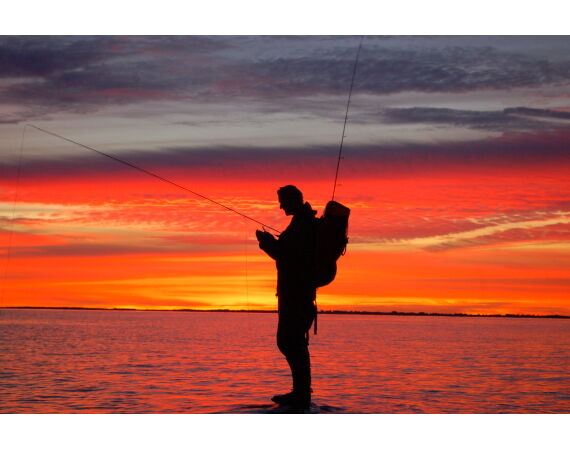 Moen, Denmark seatrout 
