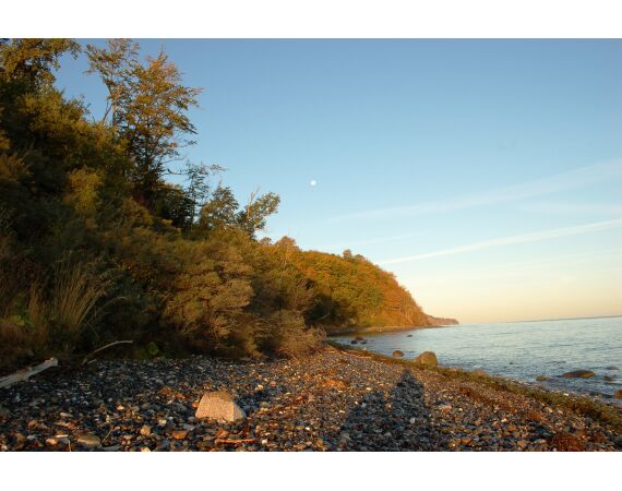 Moen, Denmark seatrout 