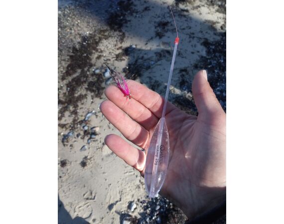 Moen, Denmark seatrout 