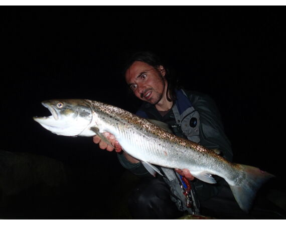 Moen, Denmark seatrout 