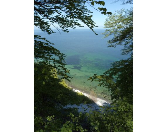 Moen, Denmark seatrout 