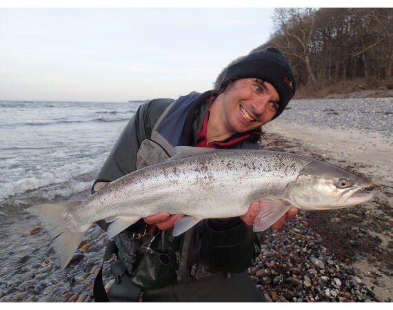 Moen, Denmark seatrout 