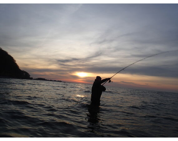 Moen, Denmark seatrout 