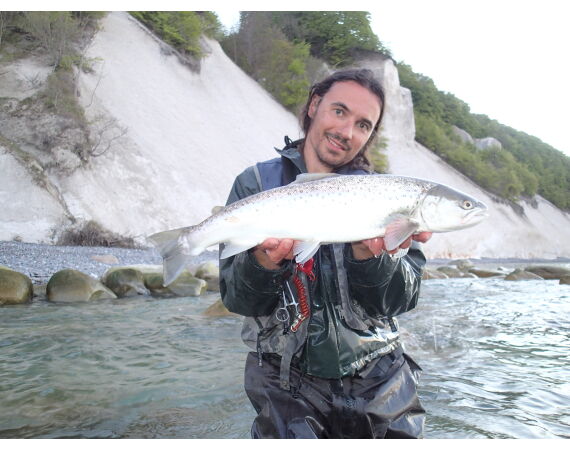 Moen, Denmark seatrout 