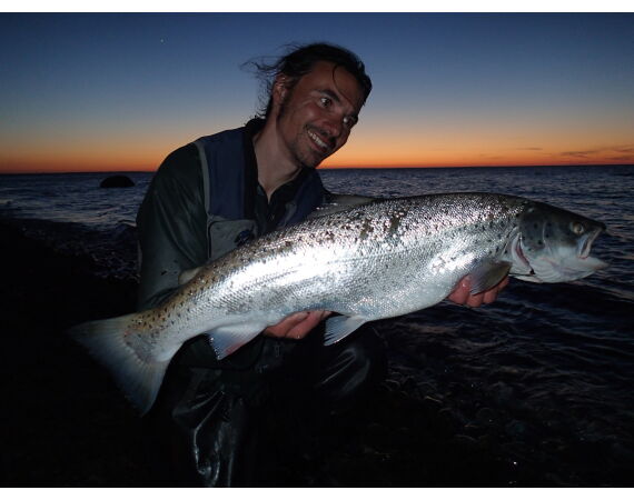 Moen, Denmark seatrout 