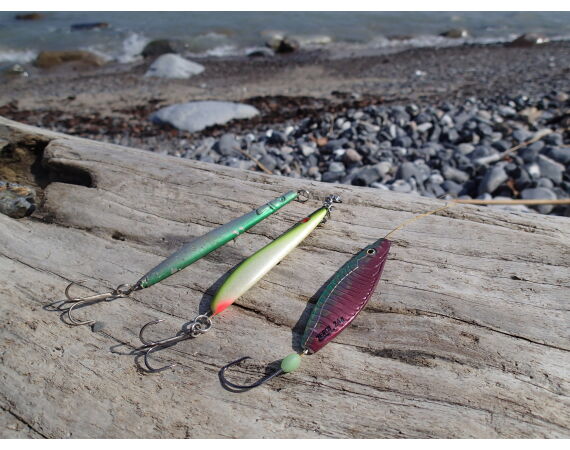 Moen, Denmark seatrout 