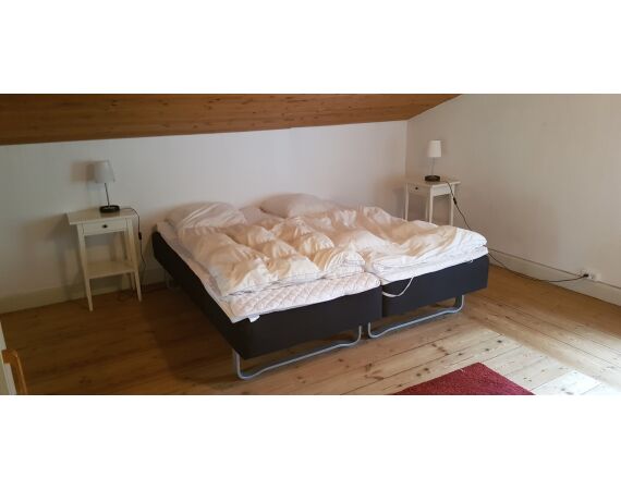 Moen, Denmark seatrout 