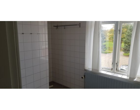 Moen, Denmark seatrout 