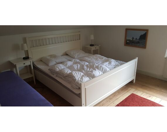 Moen, Denmark seatrout 