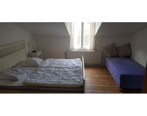 Moen, Denmark seatrout 