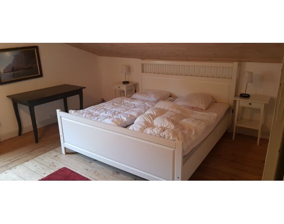 Moen, Denmark seatrout 