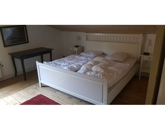 Moen, Denmark seatrout 