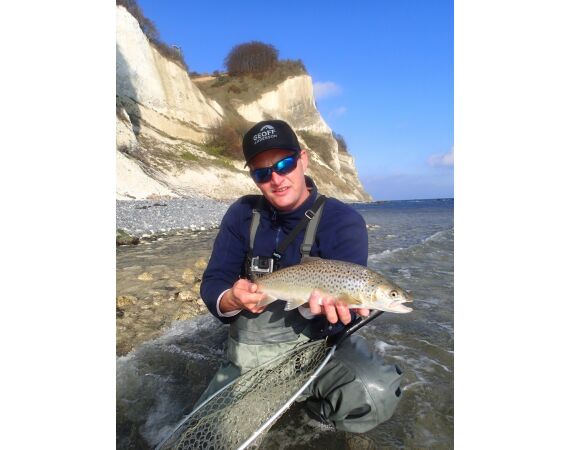 Moen, Denmark seatrout 