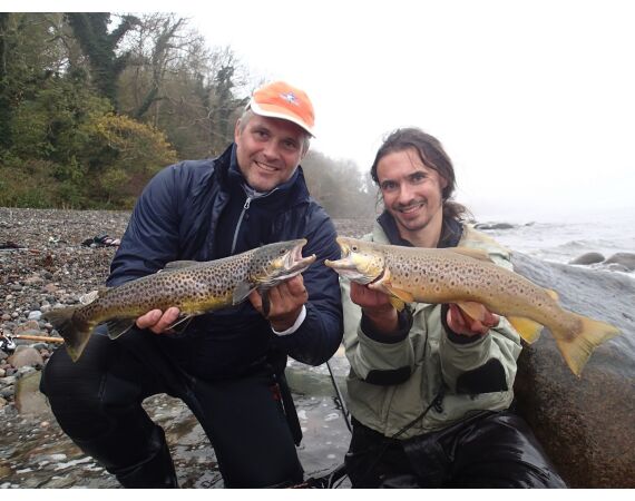 Moen, Denmark seatrout 