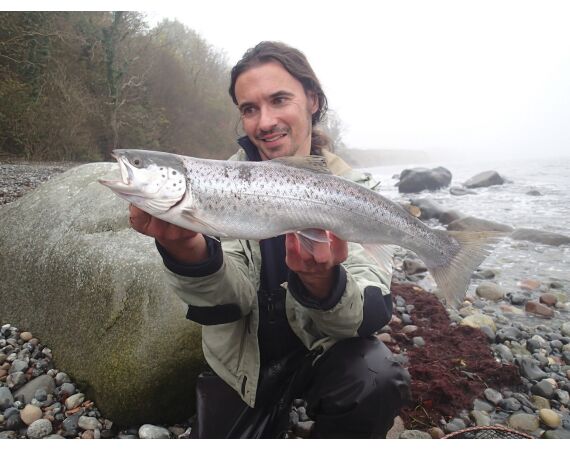 Moen, Denmark seatrout 
