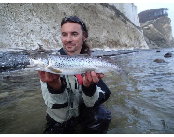 Moen, Denmark seatrout 