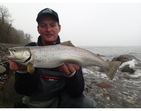 Moen, Denmark seatrout 