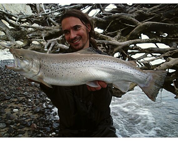 Moen, Denmark seatrout 