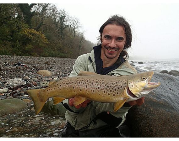 Moen, Denmark seatrout 