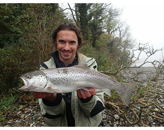 Moen, Denmark seatrout 