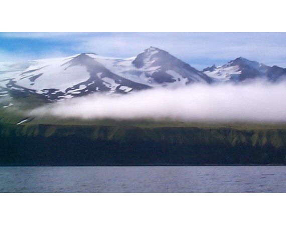 Bering Sea, salmon and halibut