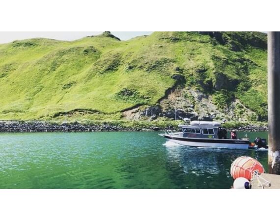 Bering Sea, salmon and halibut