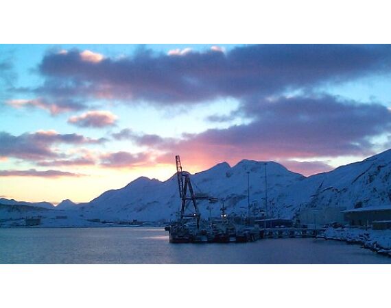 Bering Sea, salmon and halibut