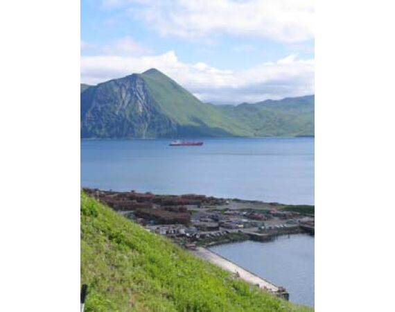 Bering Sea, salmon and halibut