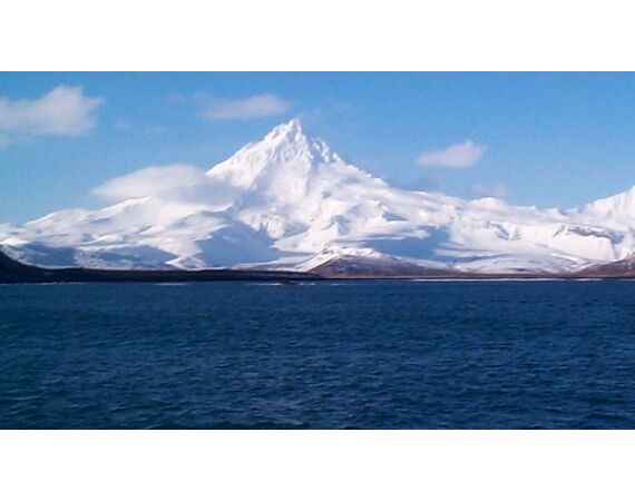 Bering Sea, salmon and halibut