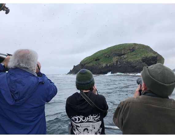 Bering Sea, salmon and halibut