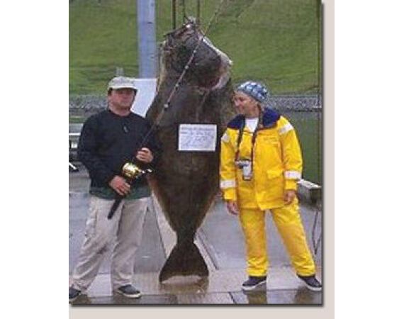 Bering Sea, salmon and halibut