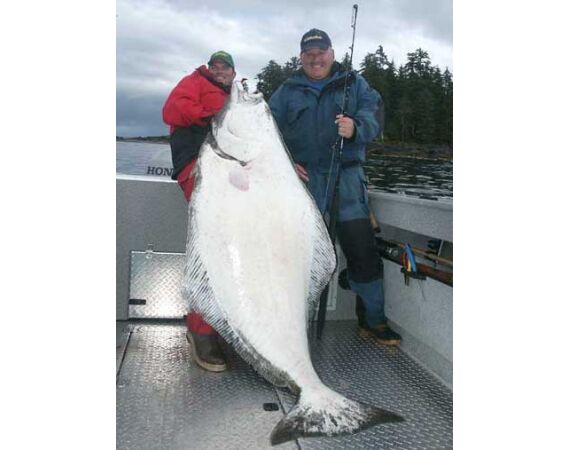 Bering Sea, salmon and halibut