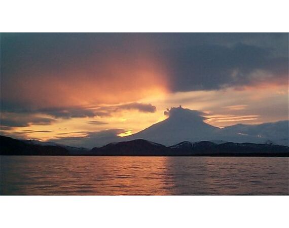 Bering Sea, salmon and halibut