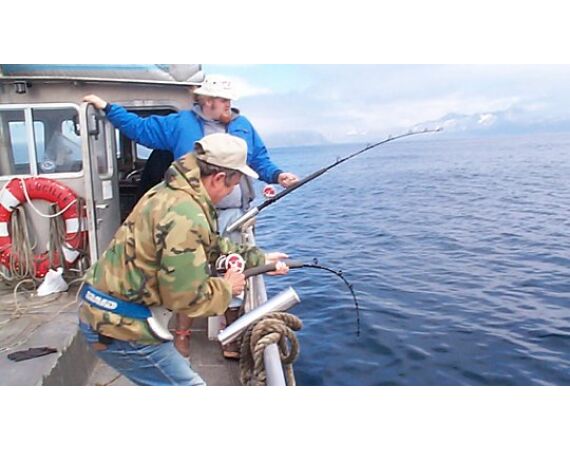 Bering Sea, salmon and halibut