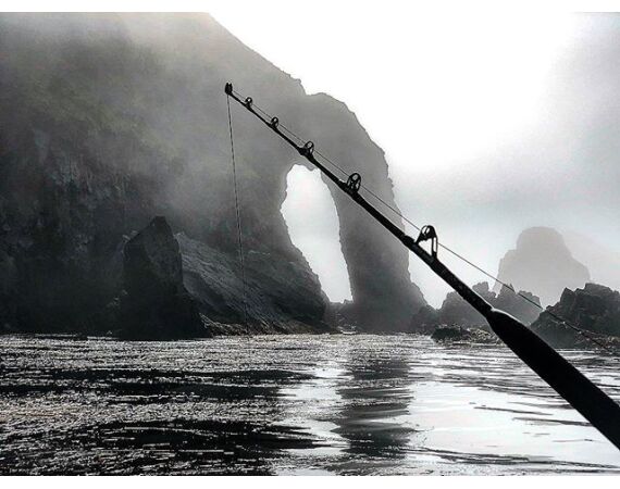 Bering Sea, salmon and halibut