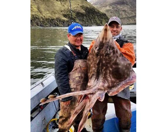 Bering Sea, salmon and halibut