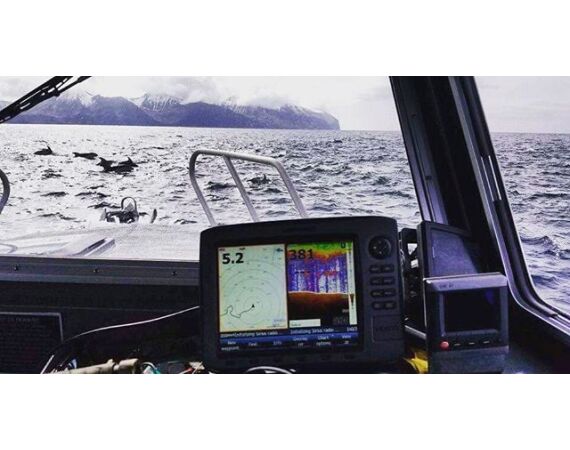 Bering Sea, salmon and halibut