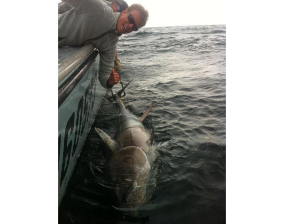 Nova Scotia, Bluefin tuna, Canada