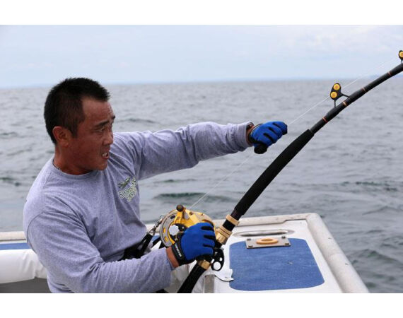 Nova Scotia, Bluefin tuna, Canada