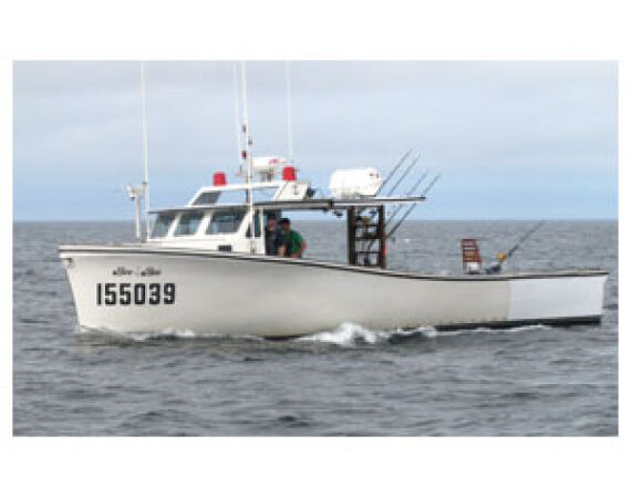 Nova Scotia, Bluefin tuna, Canada