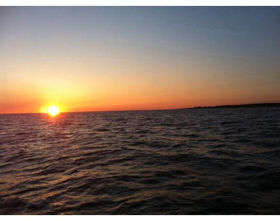 Nova Scotia, Bluefin tuna, Canada