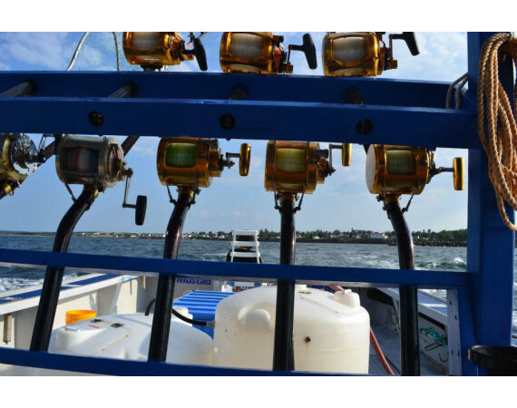 Nova Scotia, Bluefin tuna, Canada