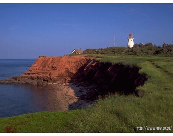 Nova Scotia, Bluefin tuna, Canada