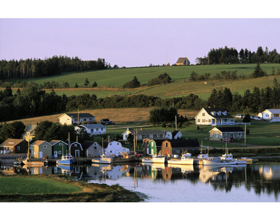 Nova Scotia, Bluefin tuna, Canada