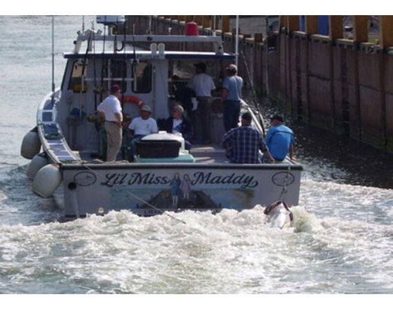 Nova Scotia, Bluefin tuna, Canada