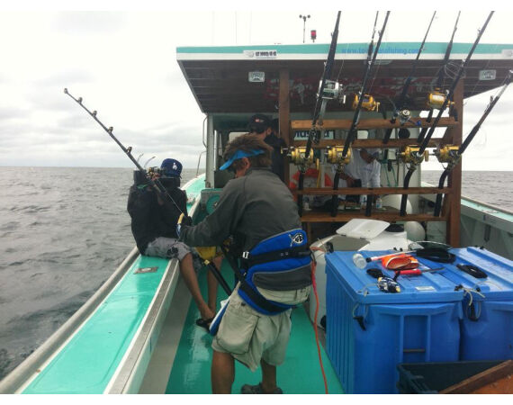 Nova Scotia, Bluefin tuna, Canada