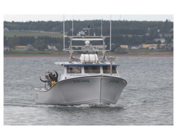 Nova Scotia, Bluefin tuna, Canada